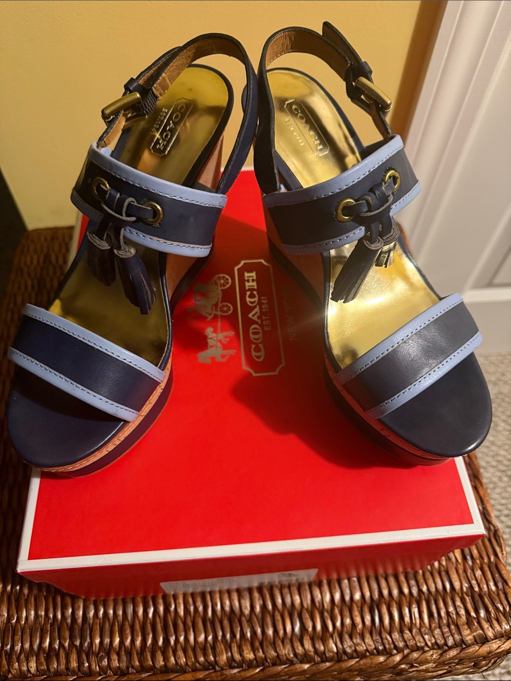 Coach Two-Tone Navy and Light Blue Tassel Platform Sandal